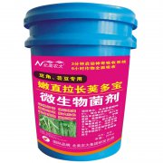 豆角蕓豆專(zhuān)用嫩直拉長(zhǎng)莢多寶