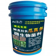 黃瓜專(zhuān)用嫩直拉長(zhǎng)瓜真多