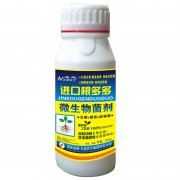 進口根多多 瓶裝