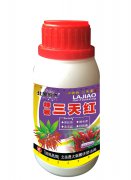 辣椒三天紅